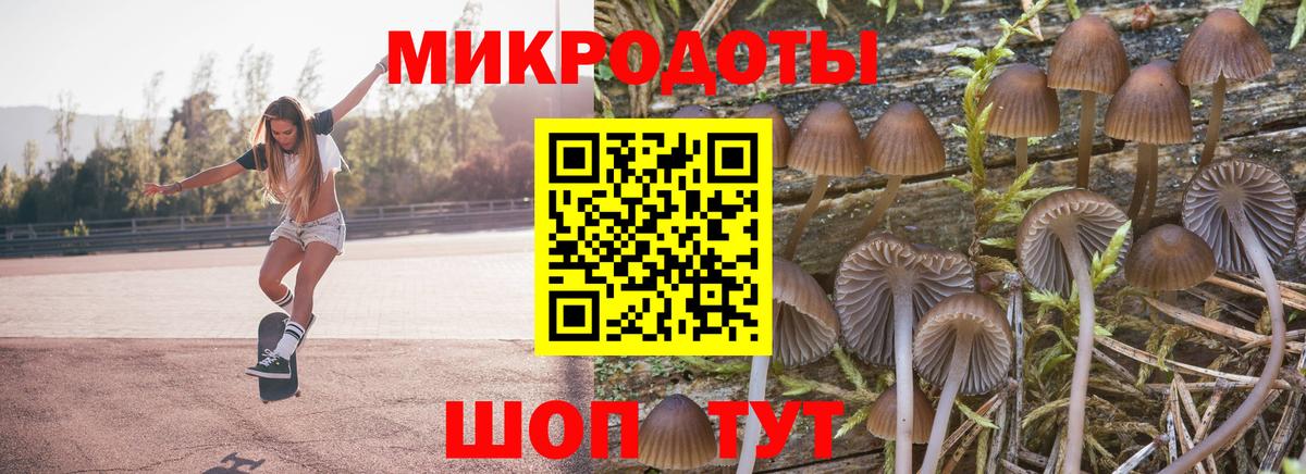 Усть-Джегута  Галлюциногенные грибы прущие грибы  Вход с VPN  Псилоцибиновые грибы Cubensis 